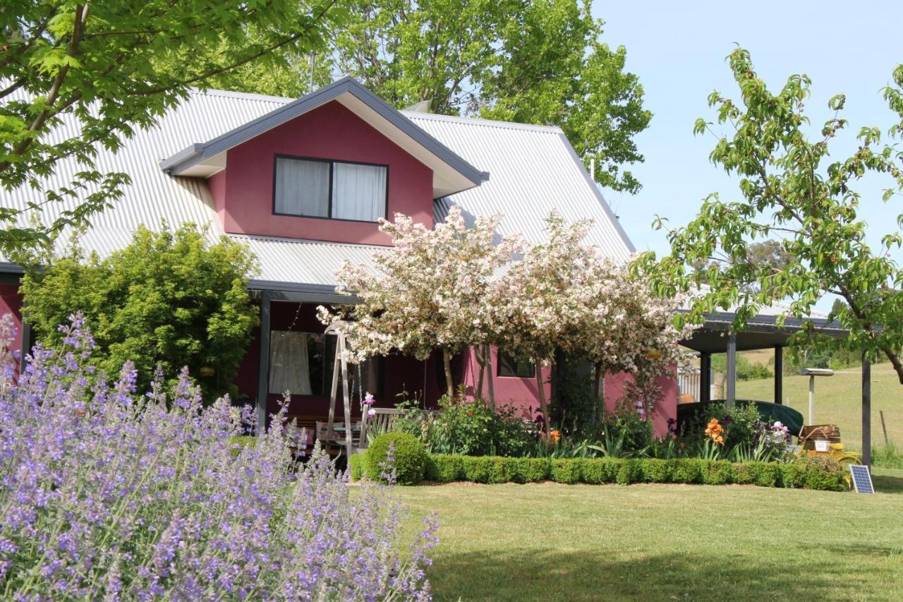 Magenta Cottage Tumbarumba Εξωτερικό φωτογραφία