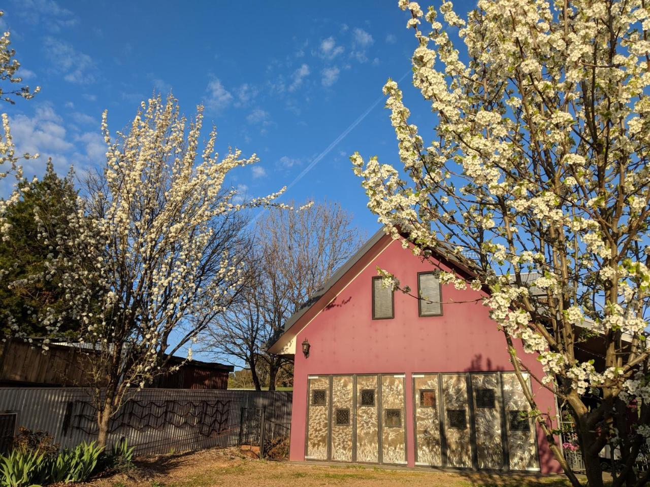 Magenta Cottage Tumbarumba Εξωτερικό φωτογραφία