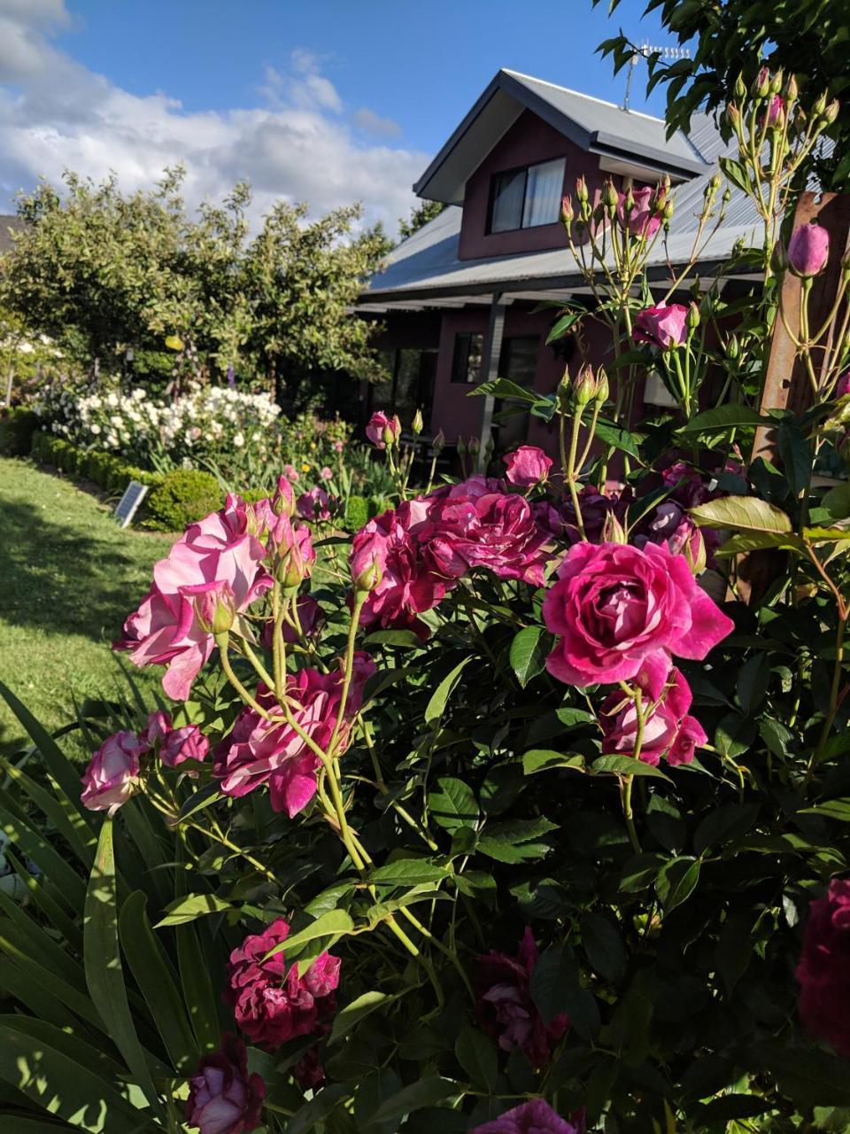 Magenta Cottage Tumbarumba Εξωτερικό φωτογραφία