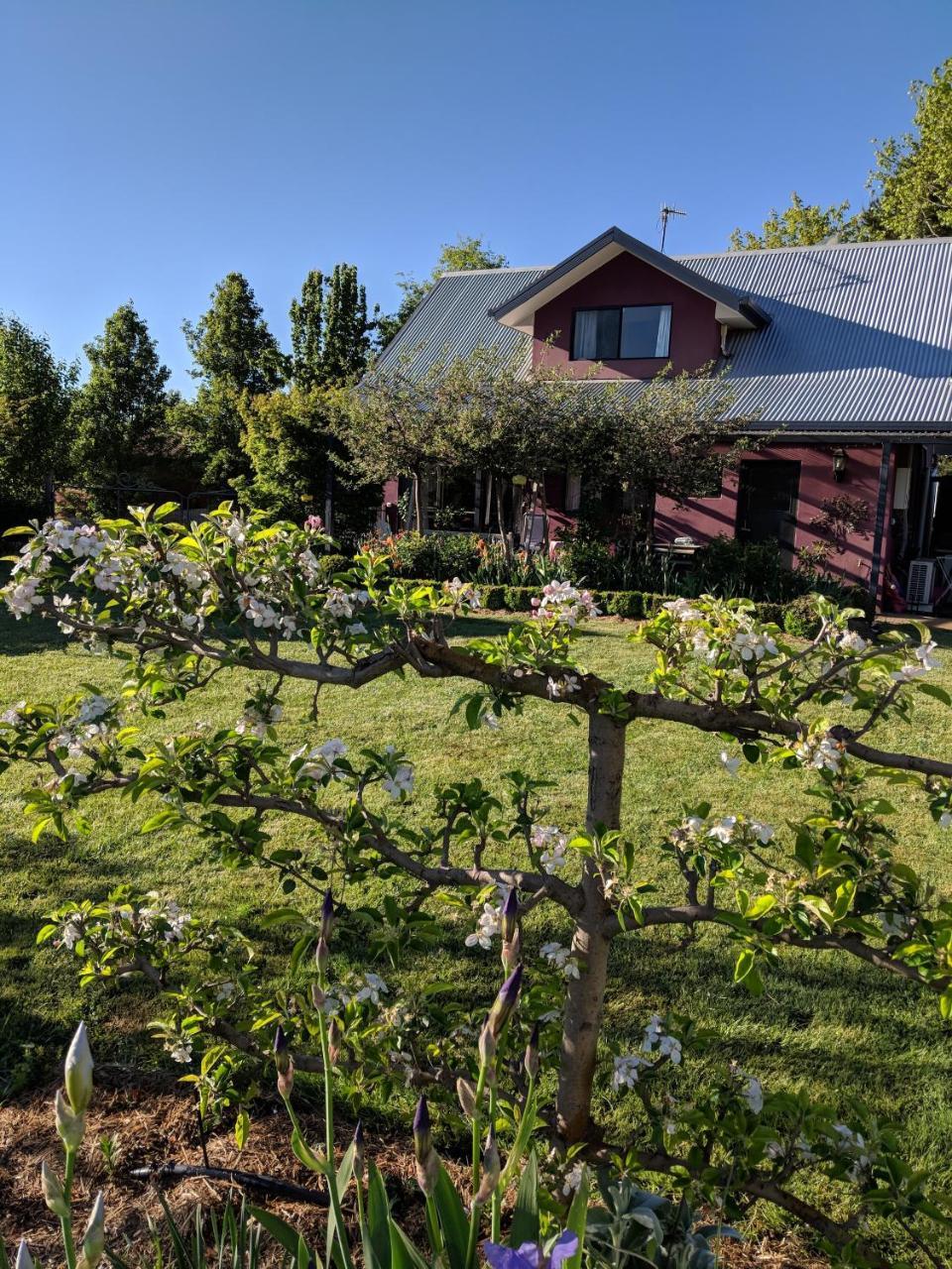 Magenta Cottage Tumbarumba Εξωτερικό φωτογραφία